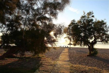Panorama - 16