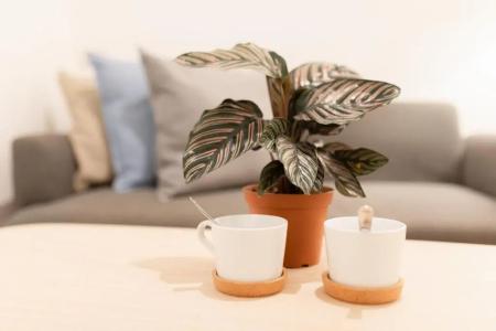 Papa Bangkok Siriraj - 45