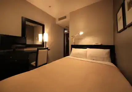 Sotetsu Fresa Inn Nagano-Ueda - 36