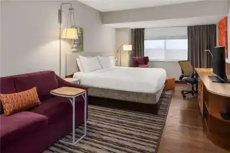 Hilton Garden Inn Minneapolis Airport Mall of America - 47