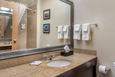Comfort Inn & Suites - 10