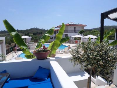 Ampelia Studios - 15
