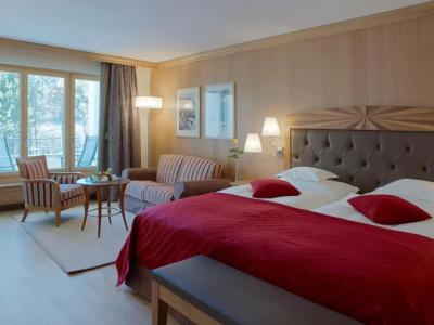 Grand Kronenhof - 102