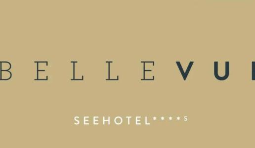 SeeBellevue - 13