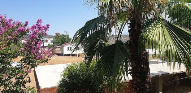 Patara Caretta - 47