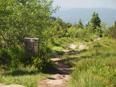 Nationalpark-Schliffkopf - 19