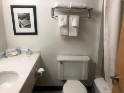 Quality Inn Denver Downtown - 8
