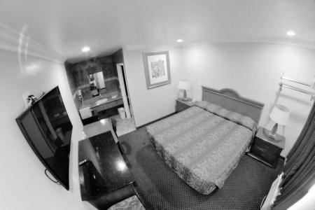 The Palace Inn - 32