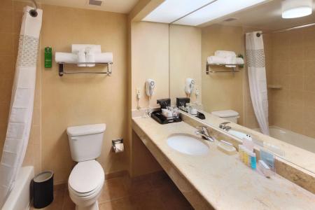 Hampton Inn & Suites Crystal City Dca - 8