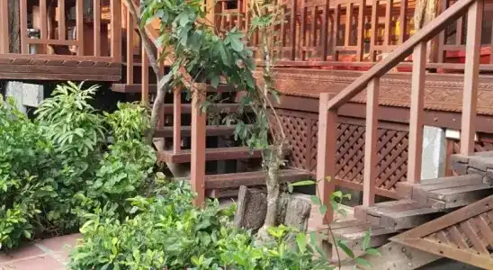 Ruean Mai Chai Khlong - 0