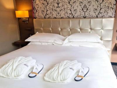 Mercure Dijon Centre Clemenceau - 27