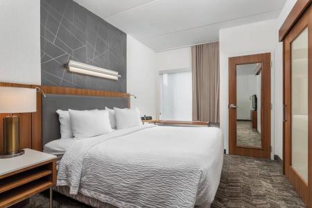 SpringHill Suites by Marriott Downtown/Cameron Harbor - 38