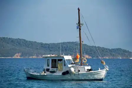 Azalea - 14