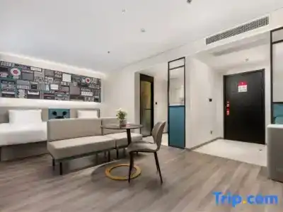 Ibis Dongguan Dongcheng - 55