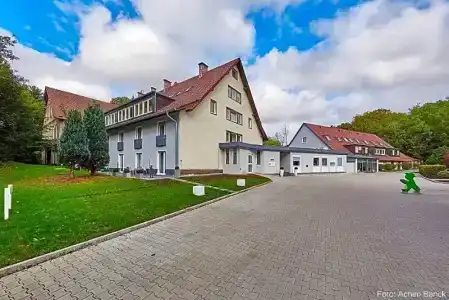 WaldBrand's Busch - 12