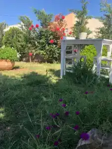Cunda Roka Otel - 25