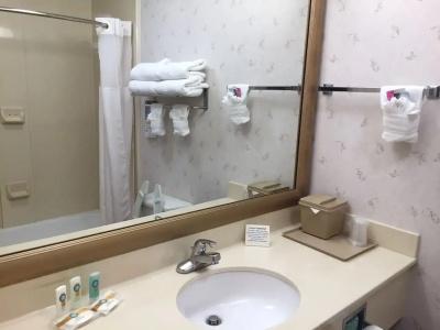 Quality Inn & Suites Near University - 8