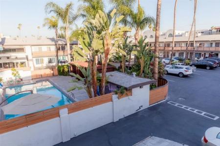 The Dixie Hollywood - 13