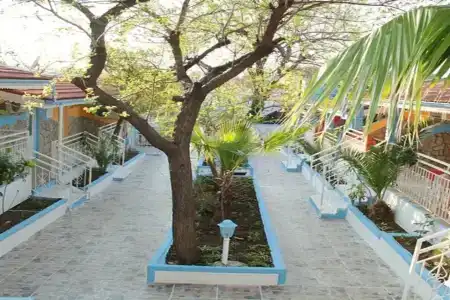 Side Temple - 11