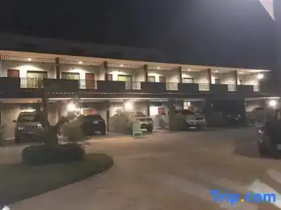 The Shark Resort - 31