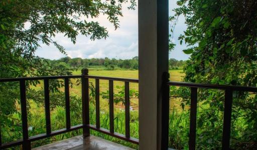 Camellia Resort and Spa - 74