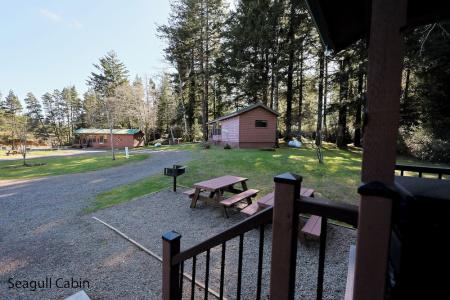 Park and Cabins - 151