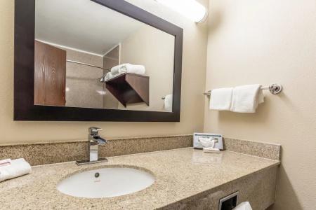 Red Roof Inn Plus+ & Suites Houston – Iah Airport Sw - 44