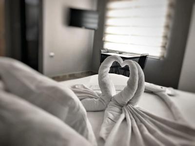 Çalışkanlar Apart Otel - 16