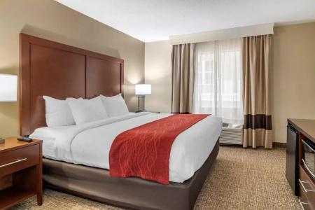Comfort Inn & Suites North I-75 - 25