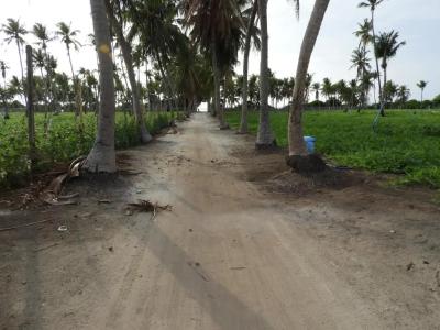 Karaa Village - 59