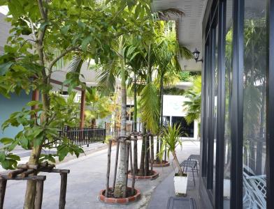 Irest Ao Nang Seafront - Sha Plus - 15