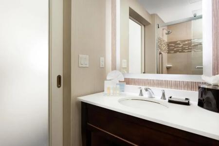 Hampton Inn Times Square Central - 69