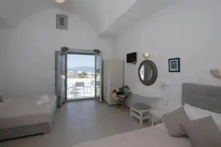 Thira's Dolphin - 66