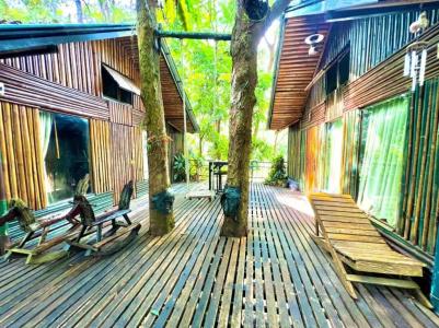 Khao sok tree house resort - 71