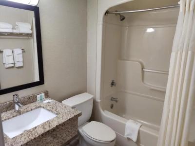 Quality Inn - 35