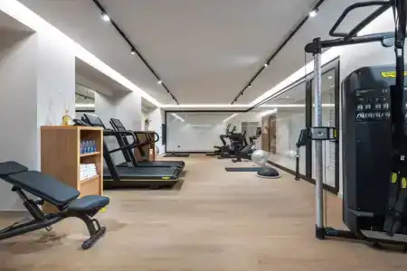 Carlton International - 24