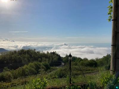 Zarha Mountain Resort - 122