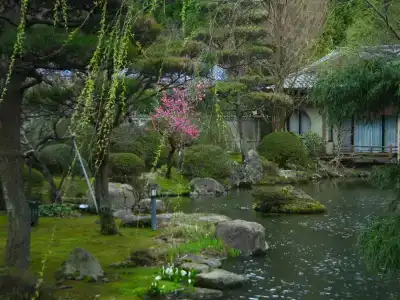Tachibanaya - 17