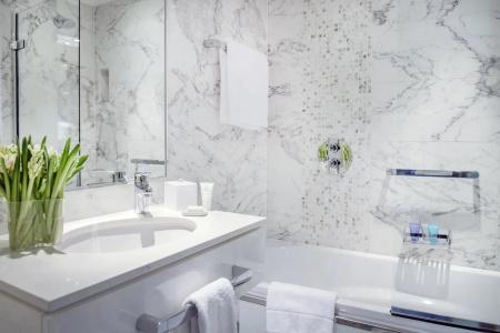 The Marylebone - 8