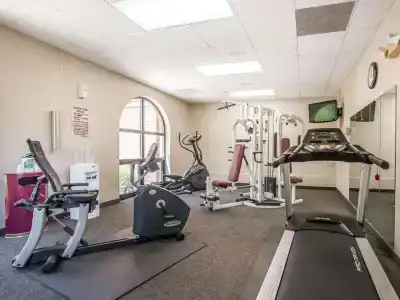 Comfort Inn at Thousand Hills - 19