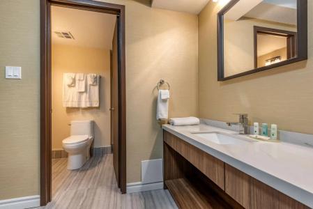 Quality Inn and Suites - 8