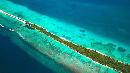 Dhiguveli Maldives - 32
