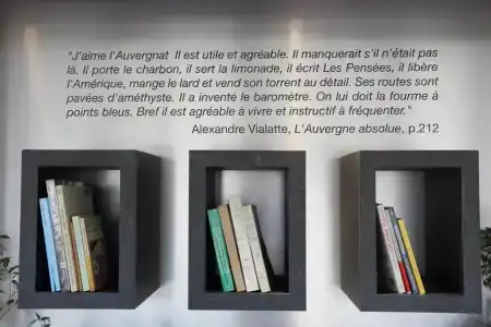 Best Western Plus Hôtel Litteraire Alexandre Vialatte - 115