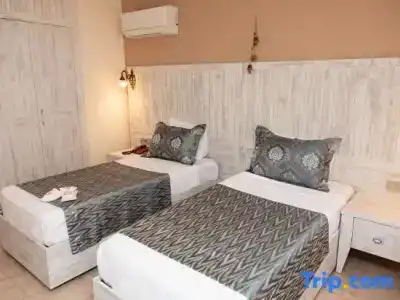 Portakal Dalyan - 23