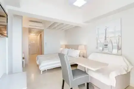 Palm Beach - 150