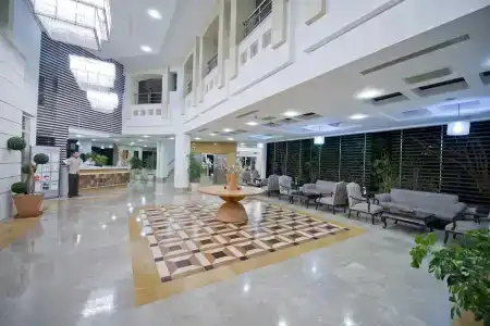 Trendy Palm Beach - 2