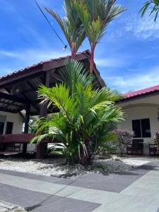 Dhania Cenang Beach - 39
