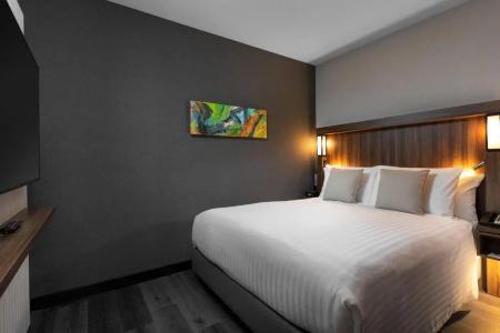 Courtyard by Marriott Amsterdam Airport - 106