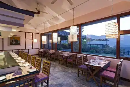 Bar Peepal - 36