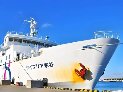 New Chikou - 14